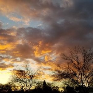 Meet your Posher, Rosa